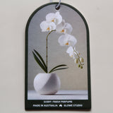 Fresh Perfume Car Freshener | Fresh & Clean