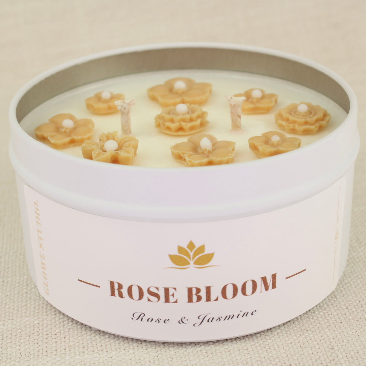 Rose Bloom