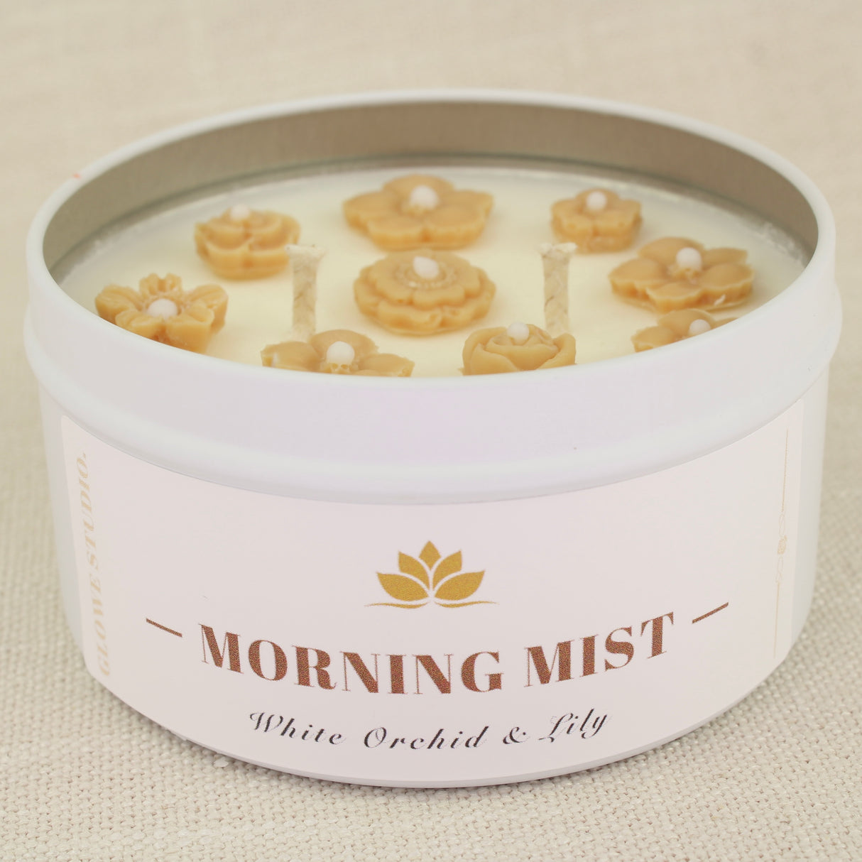 Morning Mist